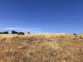 Terreno en alquiler en Pedrezuela