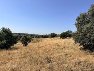 Terreno en alquiler en Pedrezuela