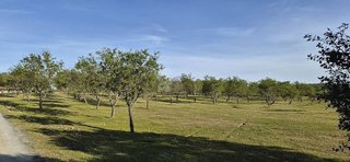 Casa rural en venta en Zona Sur-Av. de España-San Miguel en Plasencia