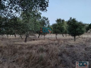 Terreno en venta en Alburquerque