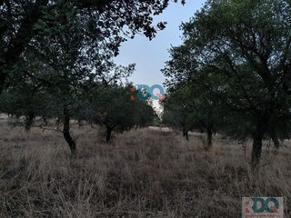Terreno en venta en Alburquerque