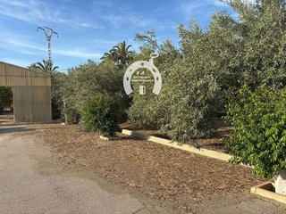 Nave industrial en venta en Torrellano en Elche