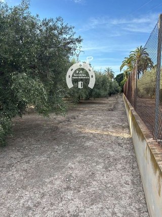 Nave industrial en venta en Torrellano en Elche