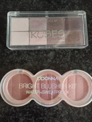 Lote de maquillaje de sombras y coloretes