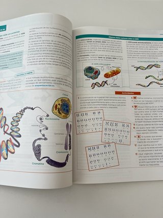 Cultura científica, Bachillerato 1