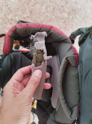 Mochila Portabebés Montaña