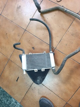 Radiador Piaggio Zip sp original
