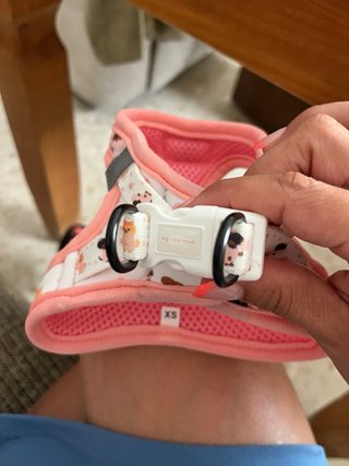 Arnés y correa para perro con estampado Talla XS