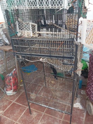 Jaula grande para pájaros