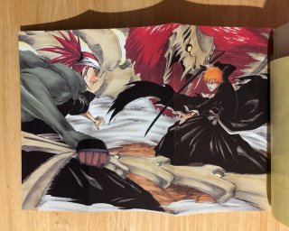 Pack BLEACH: 4 Official Books + Extras