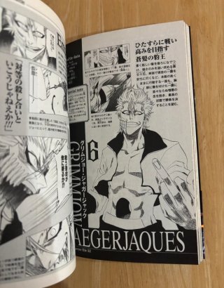 Pack BLEACH: 4 Official Books + Extras