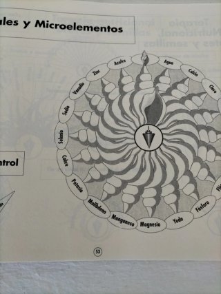 El gran libro del péndulo el manual del péndulo...