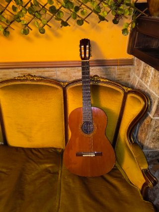 Guitarra Taymar Clásica
