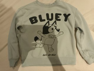 Lote sudaderas H&M y Pepco
