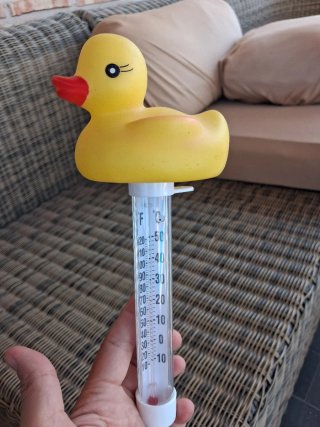 Termómetro Pato para Piscina