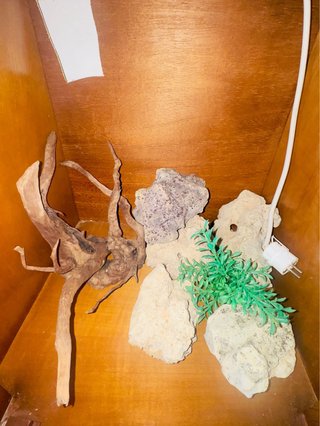 Accesorios para acuario