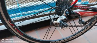 Bicicleta Carretera Méndez Caimán Carbono