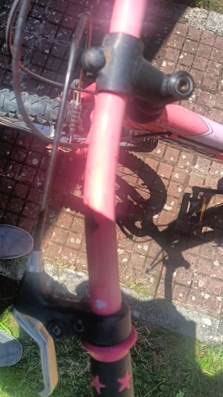 Bicicleta infantil Orbea 20 rosa