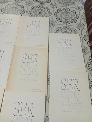 Lote de 14 revistas,ser ser
