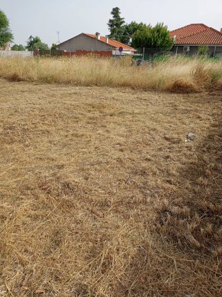 Jardinero