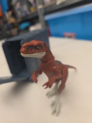 Contenedor con Velociraptor