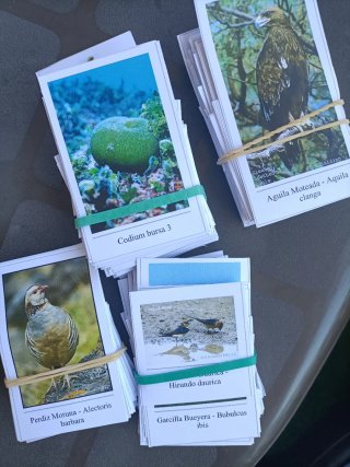 Tarjetas para visu,  OPE Profesores Biología