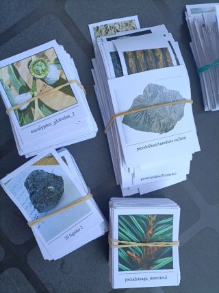 Tarjetas para visu,  OPE Profesores Biología
