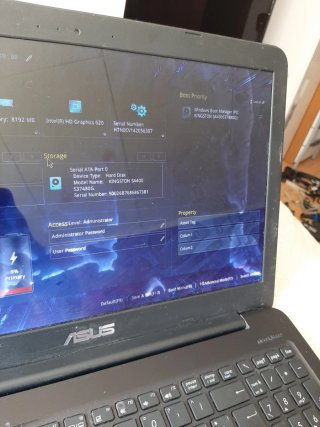 Computer Asus F556U