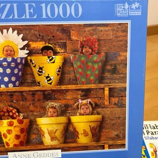 Puzzle Anne Geddes Bebés en Macetas 1000 Piezas