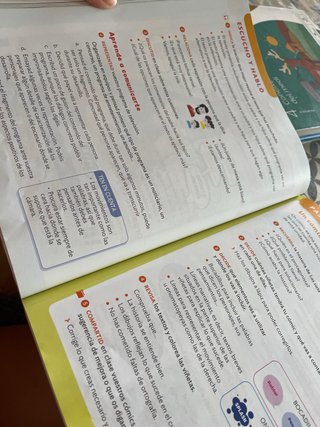 Lengua Castellana, 4 Primaria, Serie Acentos, P...