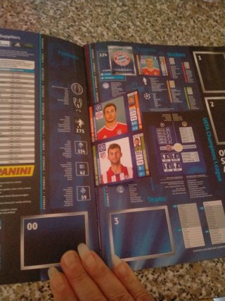 Album Panini UEFA Champions League 2013-2014 vuoto