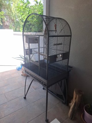 Jaula para loros grande y agapornis. En Madrid.