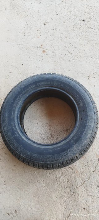 Michelin y Trailermax con llanta