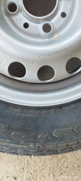 Michelin y Trailermax con llanta