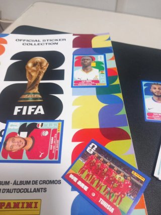 Lote Álbum Stickers Mundial FIFA USA