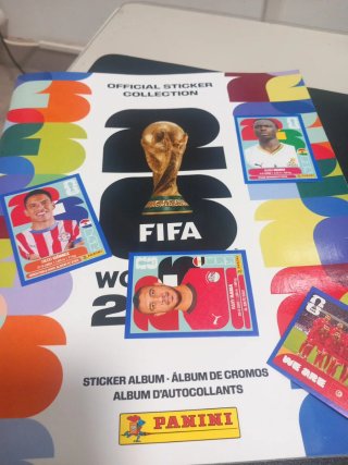 Lote Álbum Stickers Mundial FIFA USA