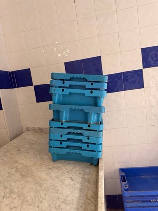 Bandejas para transporte de pescado