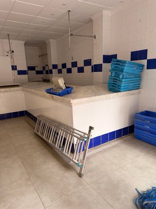 Bandejas para transporte de pescado