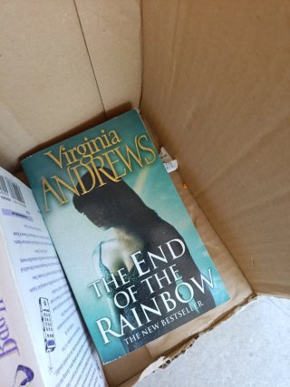 Pack de libros en inglés