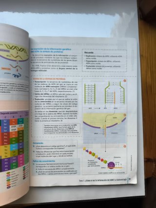 Biología y geología, 4 ESO.