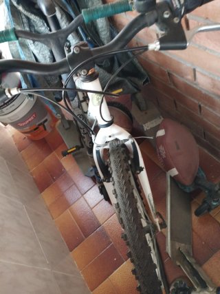 Bicicleta de montaña blanca