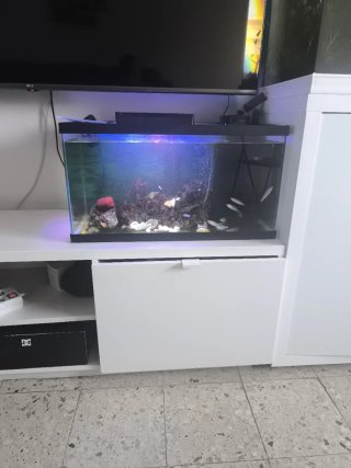 Acuario Marino Completo Multicolor