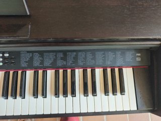 Piano Digital Ringway TG-8815