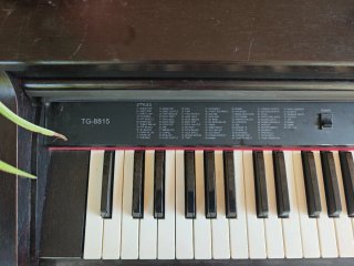 Piano Digital Ringway TG-8815