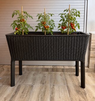 Huerto Urbano Keter Easy Grow Autorriego