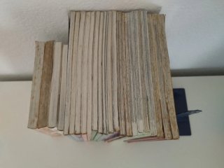 Lote cómics Manga