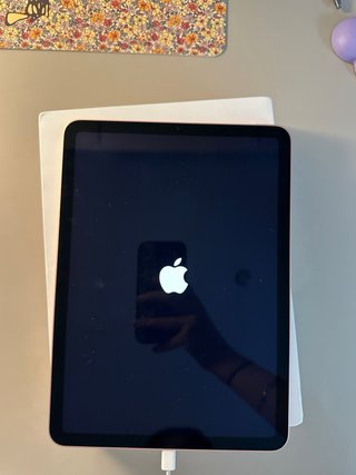 iPad Air 4ª Gen 256GB Oro Rosa