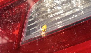 8v4945094a piloto trasero audi a3 sportback 523315