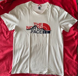 Camiseta The North Face Logo Montaña