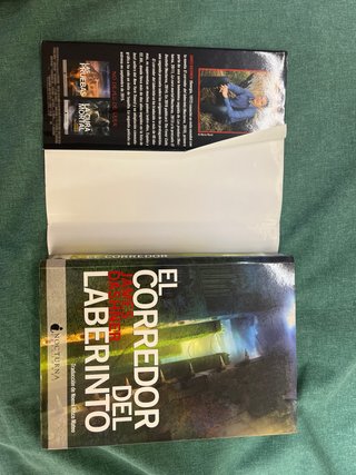 El corredor del laberinto